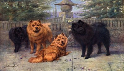 スカラマンガ夫人が所有する4つのチャンピオンチャウチャウ 作： Maud Earl